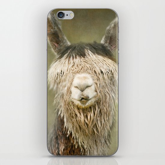 Alpaca with a fringe..! iPhone & iPod Skin