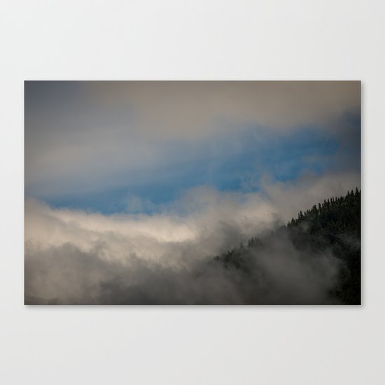 Olympic National Park Canvas Print