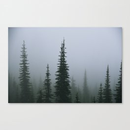 Misty Forest in the Pacific Northwest  Canvas Print