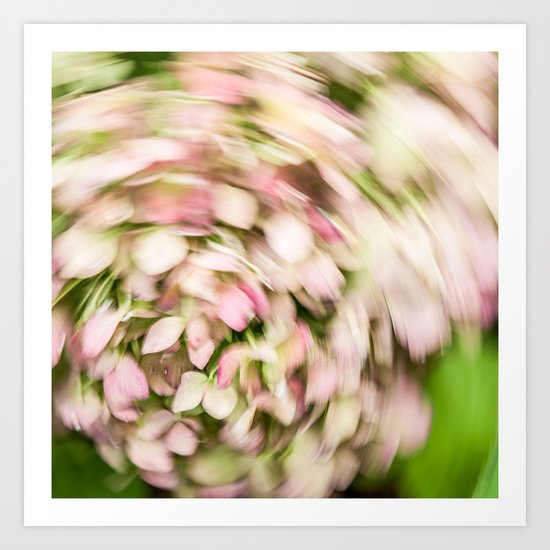 Hydrangea Abstract Art Print