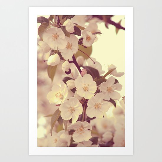 Floral 05 Art Print