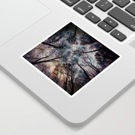 Starry Sky in the Forest Sticker