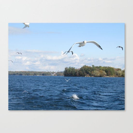 The Seagull Chase Canvas Print