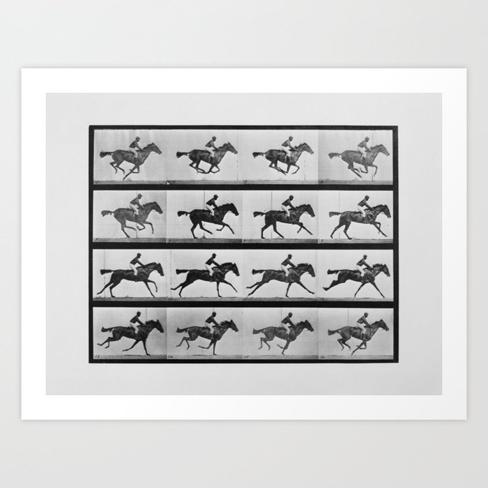 Animal Locomotion - 16 Frames of Racehorse Annie G. Print Art Print