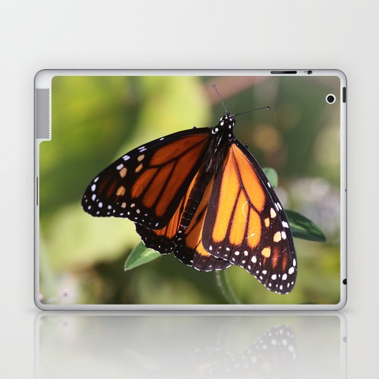 Monarch Butterfly Laptop & iPad Skin