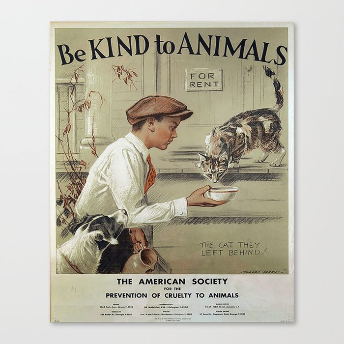 Be Kind To Animals 1 Canvas Print