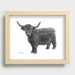 Scottish Highland Cattle Recessed Framed Print