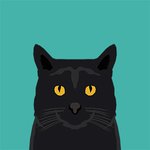 Catclub