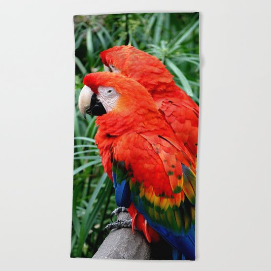 Scarlet Macaws Beach Towel