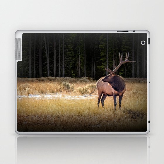 Yellowstone National Park Elk Laptop & iPad Skin