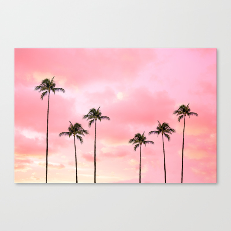 Palm Trees Photography Hot Pink Sunset Canvas Print By Wildhood