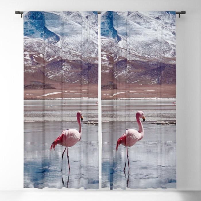 Flamingos in Lagoon in Salt Flats, Bolivia. Salar de Uyuni flamingos. Bolivia.  Blackout Curtain