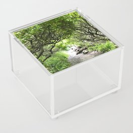 Nature Walk Acrylic Box