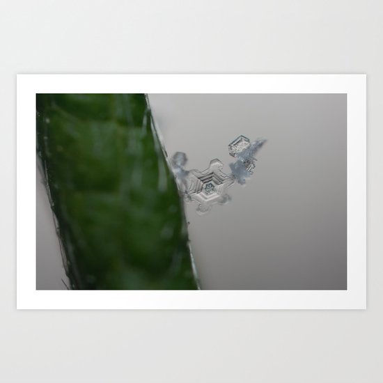 Winter Joy Art Print