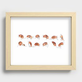 Adorable Armadillos Recessed Framed Print