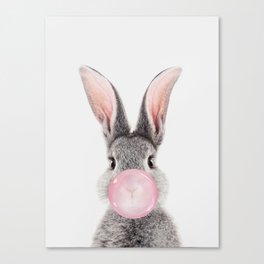 Rabbit with Bubble Gum Canvas Print