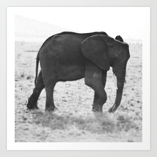 An Elephant Calf Art Print