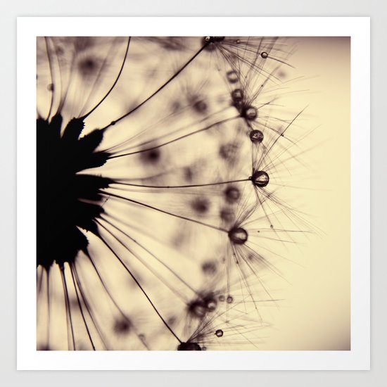 dandelion - droplets of mocha Art Print
