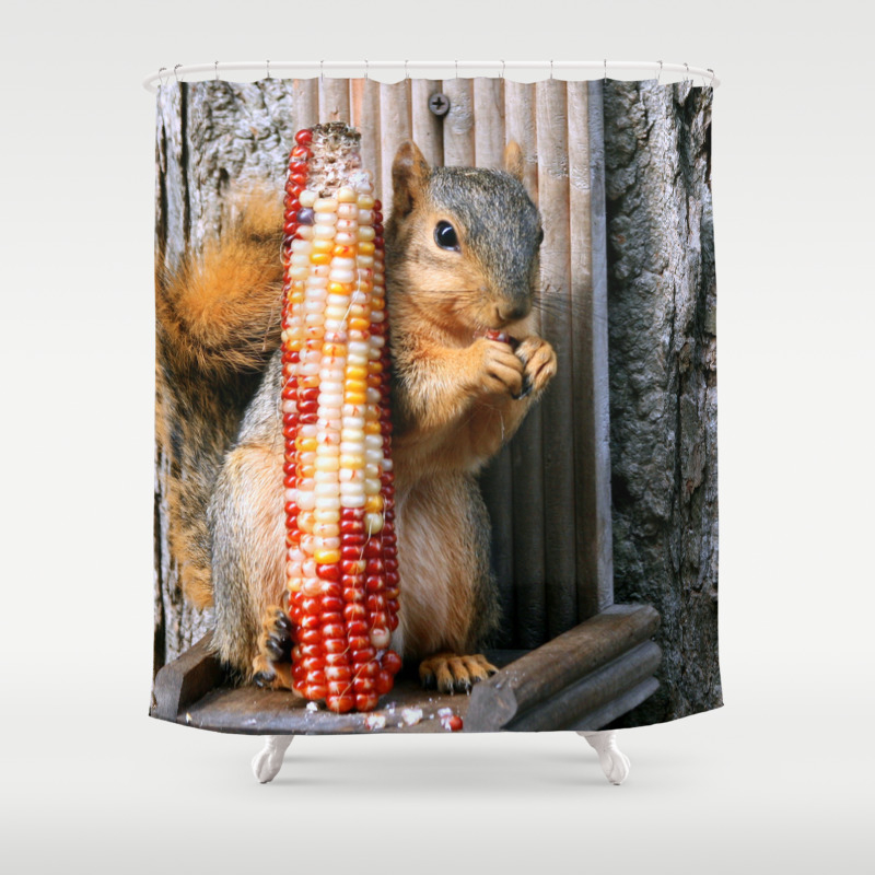 Indian Corn Squirrel Shower Curtain By Elaineflynn Society6