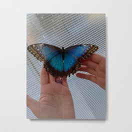 Butterfly Metal Print | Digital, Insect, Photo, Color, Butterfly 