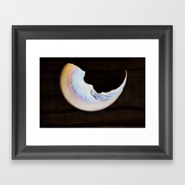 Moon Beach Framed Art Print