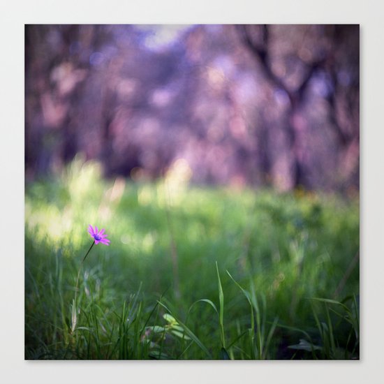 Pink Flower Canvas Print