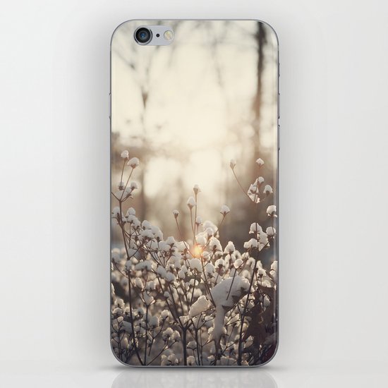 Northern Cotton iPhone & iPod Skin