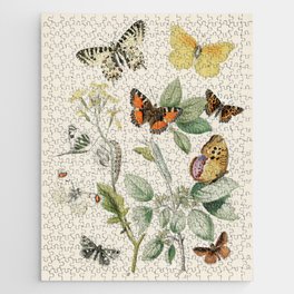 Illustrations from the book of European Butterflies and Moths by William Forsell Kirby (1882) Jigsaw Puzzle