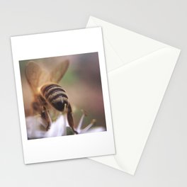 Bee-hind Stationery Cards