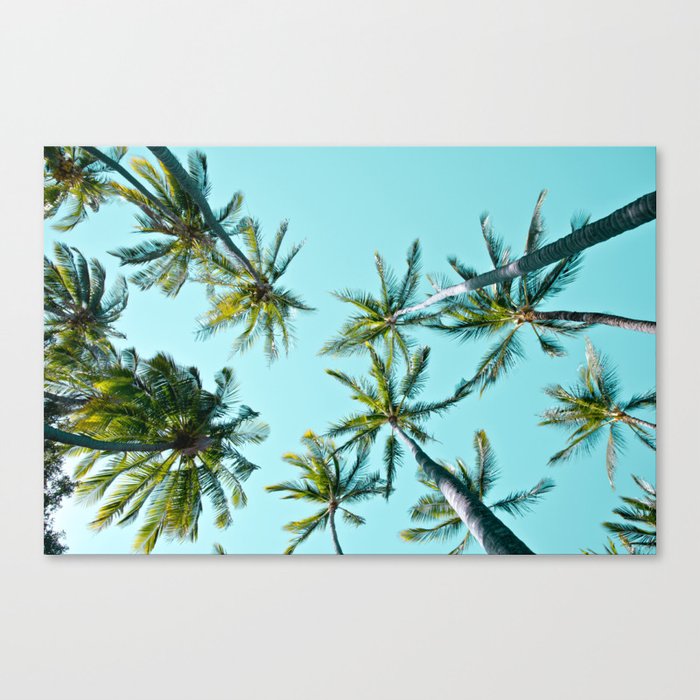 Kāma'ole Beach Palms Canvas Print