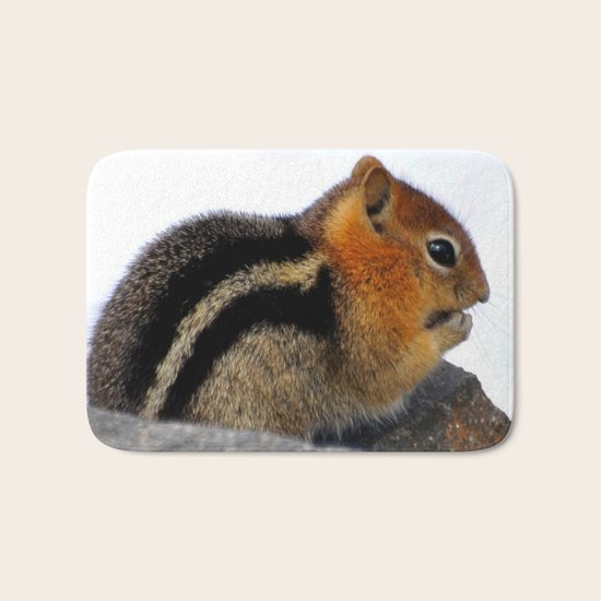 Furry Friend Bath Mat