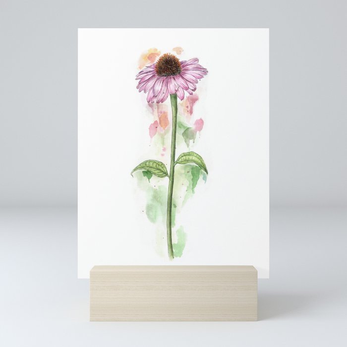 Botanical Coneflower Mini Art Print