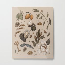 Georgia Nature Walks Metal Print | Floral, Georgia, Flowers, Magnolia, Digital, Lunamoth, Moth, Magnolias, Other, Curated 