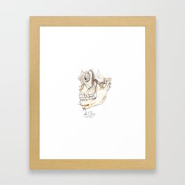 Skull with Trigeminal nerve Framed Art Print