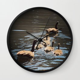 Canada Geese with Goslings - Square Photo Wall Clock