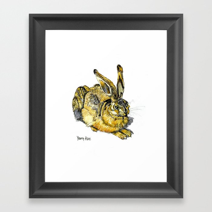 Young Hare inspired by Dürer Framed Art Print