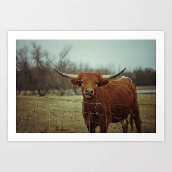 Longhorn #2 Art Print