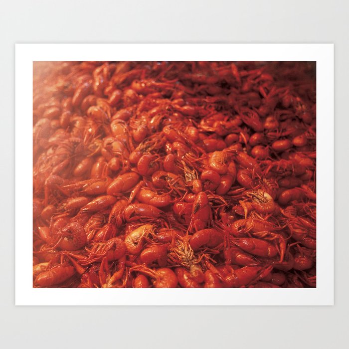 Infused Crawfish Steam, Jefferson Parrish, Louisiana Art Photo Art Print