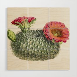 Vintage Fishhook Cactus Illustration Wood Wall Art