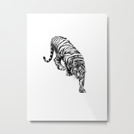 tiger 6 Metal Print