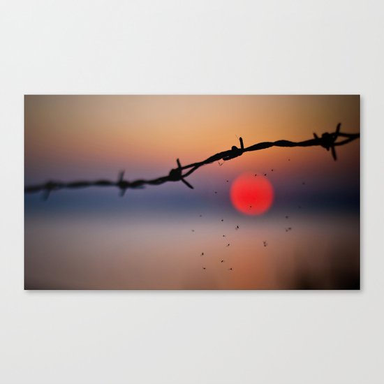 Sunset Canvas Print
