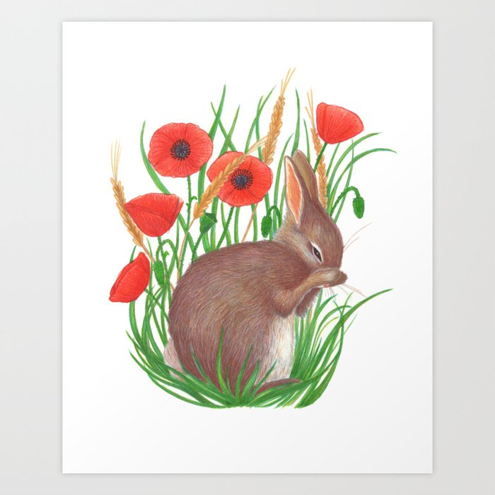 So shy bunny on sale