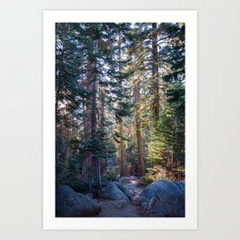 Yosemite  Art Print