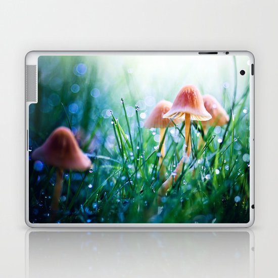 Fairytopia Laptop & iPad Skin