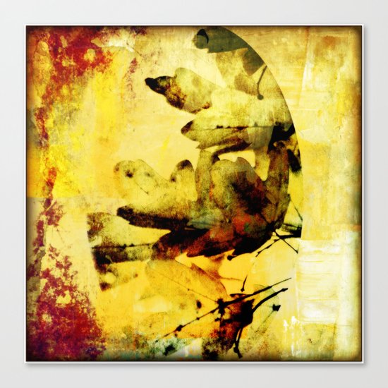 Burned colors Canvas Print