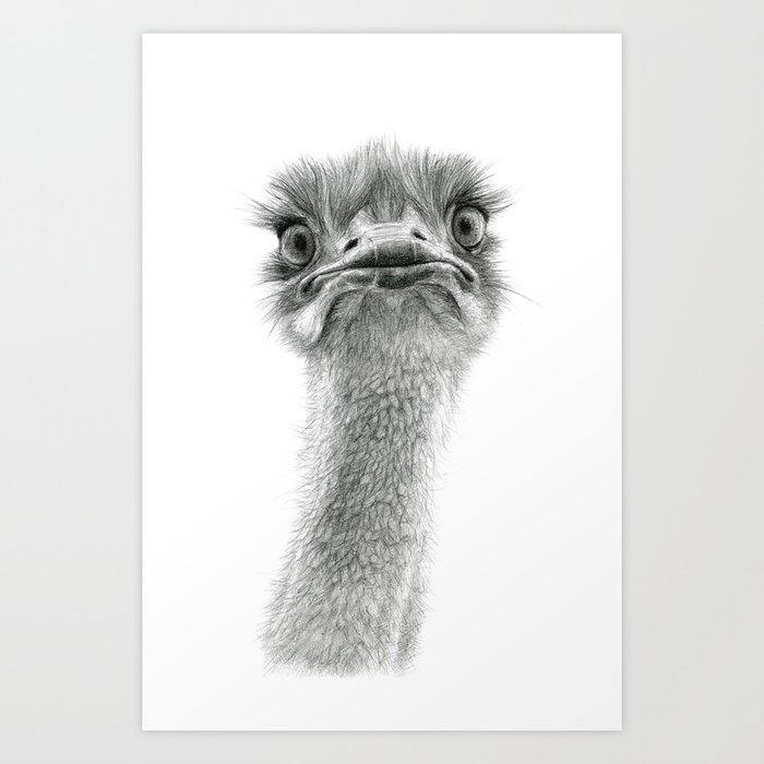 Cute Ostrich SK053 Art Print