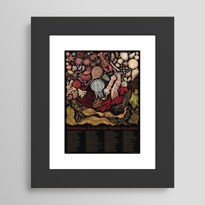 Framed Art Print
