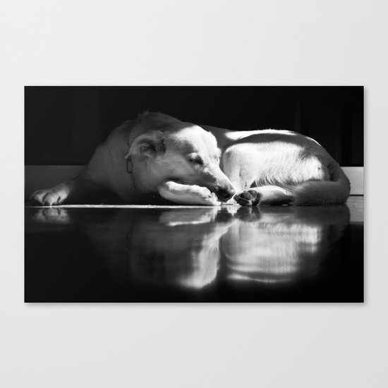 on reflection Canvas Print