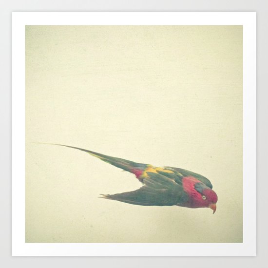 Bird Study #4 Art Print