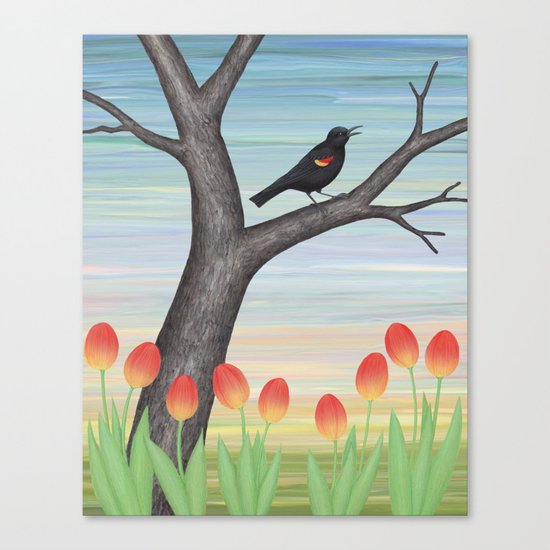 red winged blackbird and tulips Canvas Print